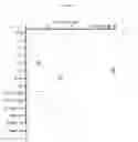 Fig. 17 - MULTIPLEX IMMUNOHISTOCHEMISTRY IMAGE CYTOMETRY