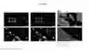 Fig. 18 - MULTIPLEX IMMUNOHISTOCHEMISTRY IMAGE CYTOMETRY
