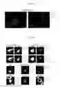 Fig. 20 - MULTIPLEX IMMUNOHISTOCHEMISTRY IMAGE CYTOMETRY