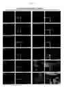 Fig. 24 - MULTIPLEX IMMUNOHISTOCHEMISTRY IMAGE CYTOMETRY