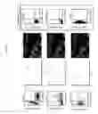 Fig. 30 - MULTIPLEX IMMUNOHISTOCHEMISTRY IMAGE CYTOMETRY