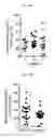 Fig. 38 - MULTIPLEX IMMUNOHISTOCHEMISTRY IMAGE CYTOMETRY