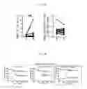 Fig. 41 - MULTIPLEX IMMUNOHISTOCHEMISTRY IMAGE CYTOMETRY
