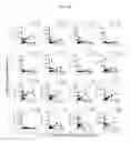 Fig. 45 - MULTIPLEX IMMUNOHISTOCHEMISTRY IMAGE CYTOMETRY