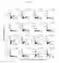 Fig. 46 - MULTIPLEX IMMUNOHISTOCHEMISTRY IMAGE CYTOMETRY