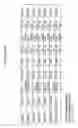 Fig. 54 - MULTIPLEX IMMUNOHISTOCHEMISTRY IMAGE CYTOMETRY