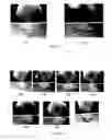 Fig. 08 - EMBEDDING MEDIUM FOR SPECIMEN PREPARATION, METHOD FOR PREPARING CURABLE BASE MATERIAL NONPENETRATING SPECIMEN, METHOD FOR PREPARING CURABLE BASE MATERIAL PENETRATING SPECIMEN, CURABLE BASE MATERIAL NONPENETRATING SPECIMEN, THIN SLICE PERFORMANCE IMPROVER FOR FROZEN EMBEDDING MEDIUM, AND FROZEN EMBEDDING MEDIUM