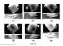 Fig. 10 - EMBEDDING MEDIUM FOR SPECIMEN PREPARATION, METHOD FOR PREPARING CURABLE BASE MATERIAL NONPENETRATING SPECIMEN, METHOD FOR PREPARING CURABLE BASE MATERIAL PENETRATING SPECIMEN, CURABLE BASE MATERIAL NONPENETRATING SPECIMEN, THIN SLICE PERFORMANCE IMPROVER FOR FROZEN EMBEDDING MEDIUM, AND FROZEN EMBEDDING MEDIUM