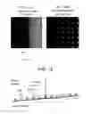 Fig. 11 - Optical measurement method and appartus