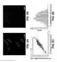 Fig. 09 - Method and device for single molecule imaging