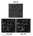 Fig. 14 - Method and device for single molecule imaging