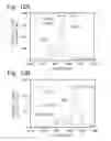 Fig. 08 - X-ray spectroscopic analysis apparatus and elementary analysis method