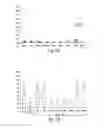Fig. 02 - METHODS OF DETERMINING CELLULAR CHEMOSENSITIVITY