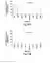 Fig. 34 - METHODS OF DETERMINING CELLULAR CHEMOSENSITIVITY