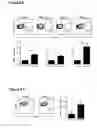 Fig. 05 - Means and methods for determining T cell recognition