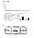 Fig. 16 - Means and methods for determining T cell recognition
