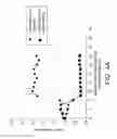 Fig. 06 - BLOOD-BASED LATERAL-FLOW DIPSTICK ASSAY FOR DETECTION OF ENTERIC FEVER