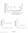 Fig. 02 - In vitro assays for assessing cell aging