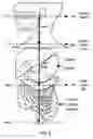 Fig. 03 - MODEL GUT SYSTEM
