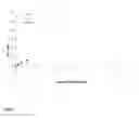 Fig. 07 - A Method of Measuring Antibody Concentration in a Sample