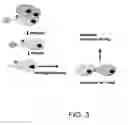 Fig. 04 - METHODS OF REVERSIBLY BINDING A BIOTIN COMPOUND TO A SUPPORT