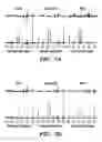 Fig. 06 - Methods for producing a semi-adiabatic spectral-spatial spectroscopic imaging sequence and devices thereof