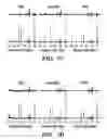 Fig. 07 - Methods for producing a semi-adiabatic spectral-spatial spectroscopic imaging sequence and devices thereof