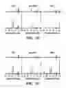 Fig. 08 - Methods for producing a semi-adiabatic spectral-spatial spectroscopic imaging sequence and devices thereof
