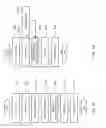 Fig. 13 - Radiation measurement method and device