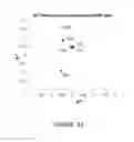 Fig. 42 - High light transmission and scratch-resistant anti-reflective articles