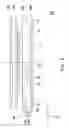Fig. 12 - Light source module and display apparatus
