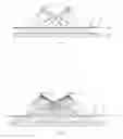 Fig. 02 - Parallax barrier and display device