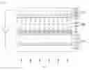 Fig. 12 - LIQUID CRYSTAL DISPLAY AND METHOD OF MANUFACTURING THE SAME