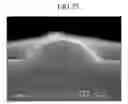 Fig. 26 - Liquid Crystal Display Including a Variable Width Spacer Element and Method for Fabricating the Same