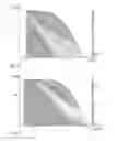 Fig. 09 - Illumination optical assembly for a projection exposure apparatus