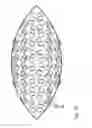 Fig. 11 - Illumination optical assembly for a projection exposure apparatus