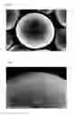 Fig. 04 - Magnetic carrier for electrophotographic developer and process for producing the same, and two-component system developer