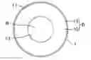 Fig. 01 - Semiconductive roller, and method of producing the same