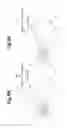 Fig. 06 - Image forming apparatus
