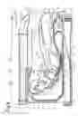 Fig. 10 - Image forming apparatus