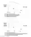 Fig. 09 - Deceleration determination of a vehicle