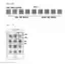 Fig. 17 - DISPLAY METHOD AND TERMINAL INCLUDING TOUCH SCREEN PERFORMING THE SAME