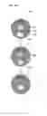 Fig. 55 - Watch type mobile terminal