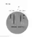 Fig. 91 - Watch type mobile terminal