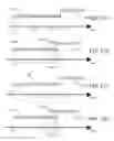 Fig. 13 - Enhanced display of interactive elements in a browser