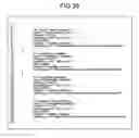 Fig. 30 - System, information processing method, and storage medium