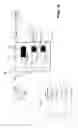 Fig. 06 - Data processing apparatus and method