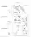 Fig. 01 - Systems, methods, and apparatuses for fixing logical or physical corruption in databases using LSM trees
