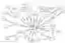 Fig. 01 - EXTRACTING ENTITIES FROM NATURAL LANGUAGE TEXTS