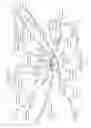 Fig. 07 - EXTRACTING ENTITIES FROM NATURAL LANGUAGE TEXTS